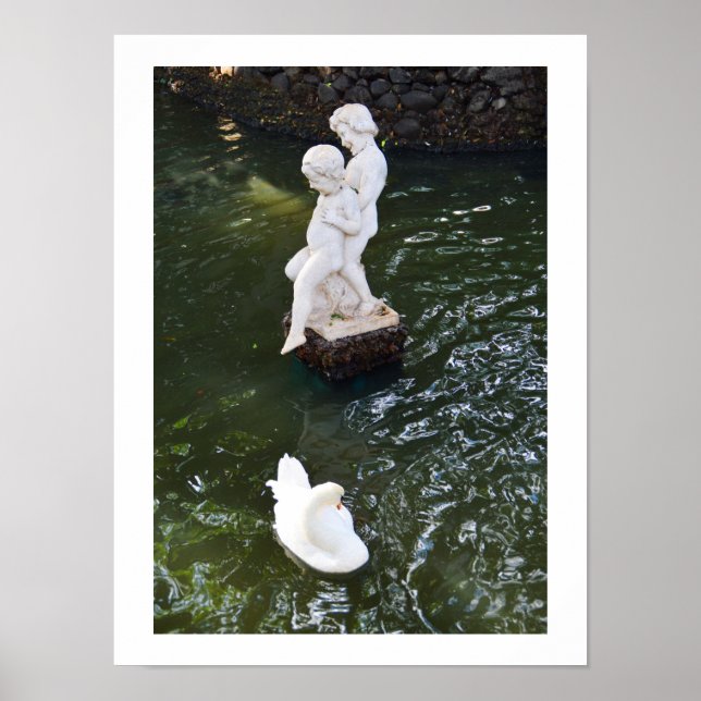 Statue und Schwan in Madeira Poster (Vorne)