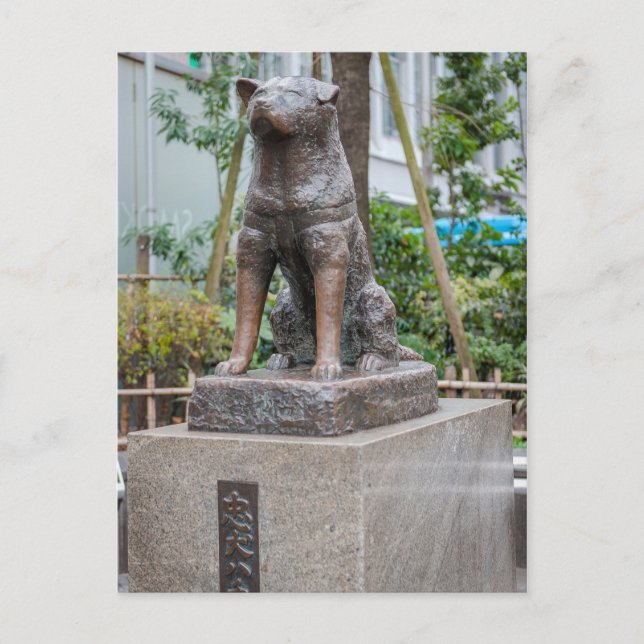 Statue von Chuken Hachiko Postkarte (Vorderseite)