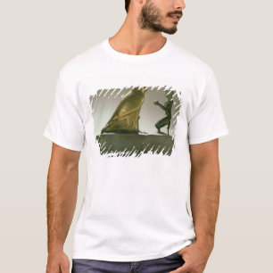 Statue von König Taharqa den Falkegott anbetend T-Shirt