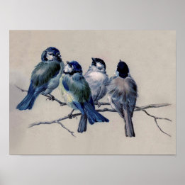 Staubblaue und graue Vögel auf einem Wasserfarbenz Poster