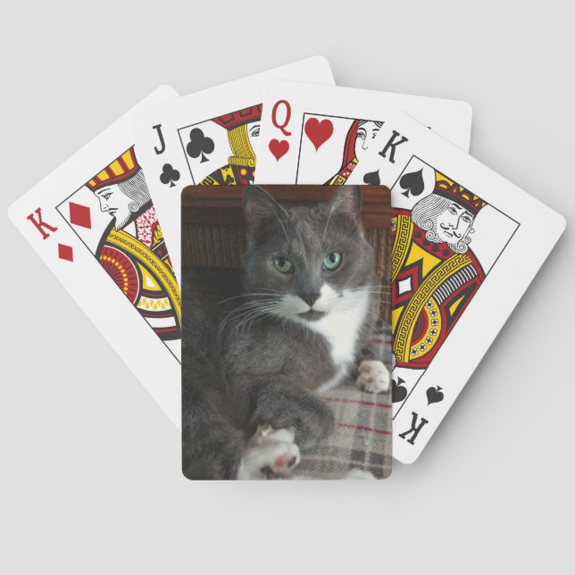 Staubig Spielkarten (Rückseite)