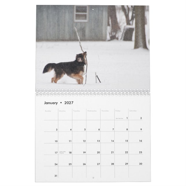 Staubig u. Polu 2011 Kalender (Jan 2027)