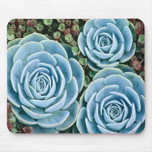 Staubige Blues Mousepad (Vorne)