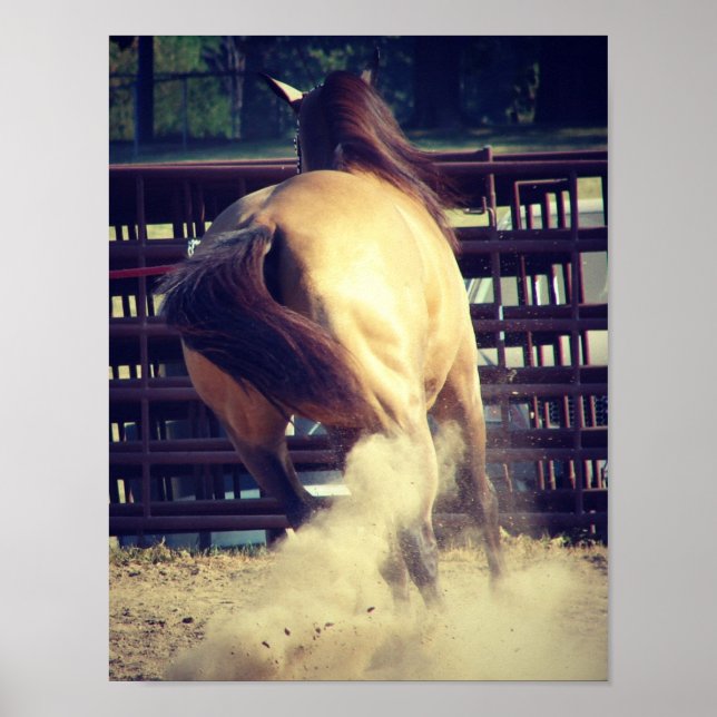 Staubkleben Poster (Vorne)