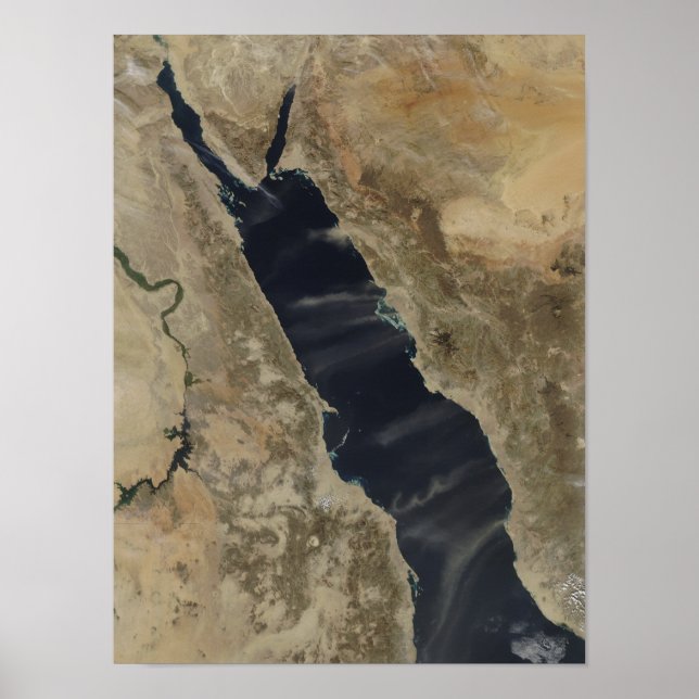 Staubwolken über dem Roten Meer Poster (Vorne)