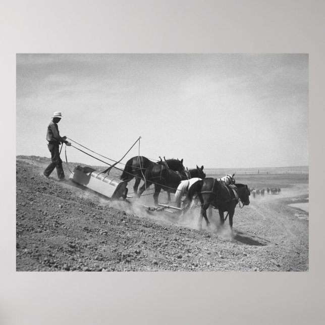 Staudamm-Gebäude: 1936 Poster (Vorne)