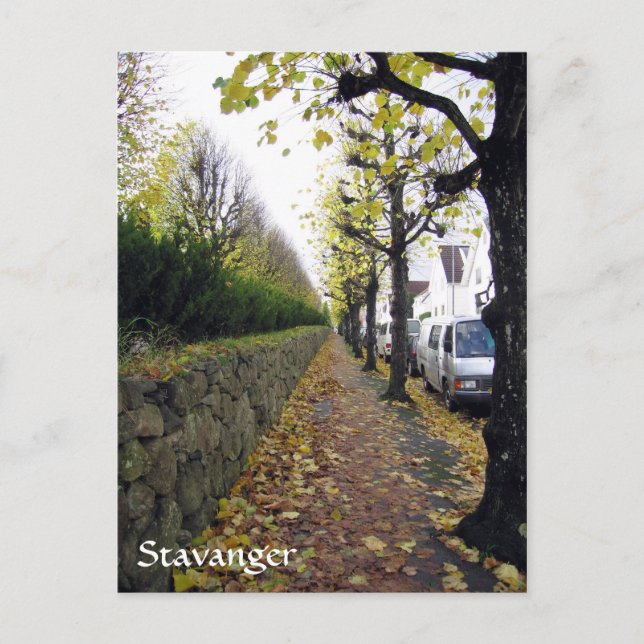 Stavanger, Norwegen Postkarte (Vorderseite)