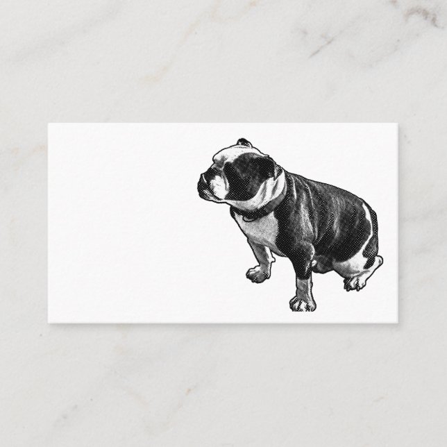 Steady Is Enough Visitenkarte (Vorderseite)