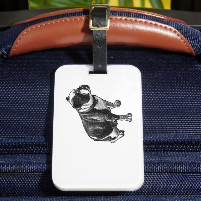 Steady Through Travel Gepäckanhänger (Vorderseite Insitu 2)