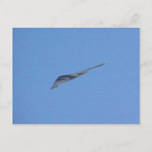 Stealth Bomber Postkarte