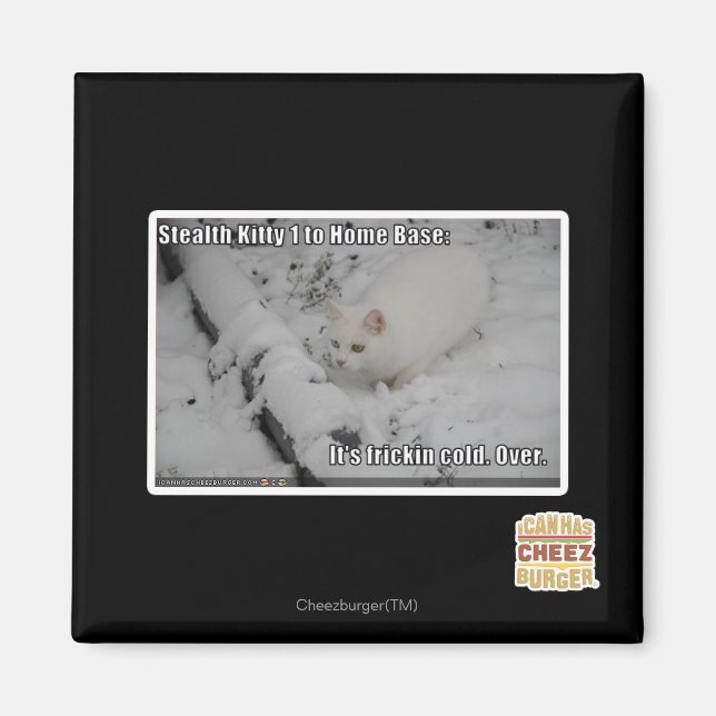 Stealth Kitty 1 Magnet (Vorne)
