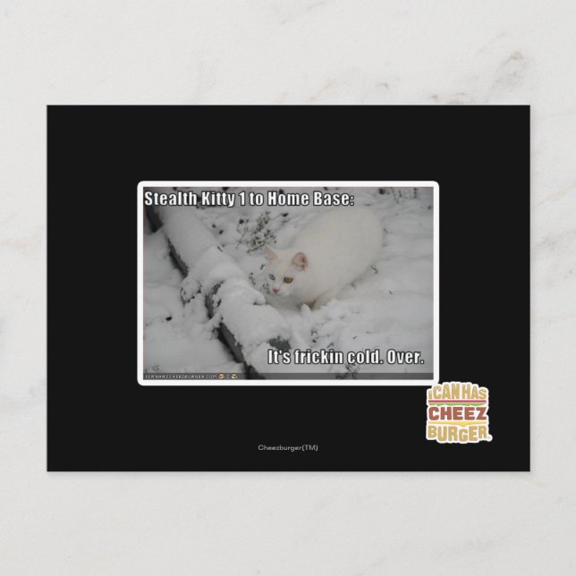 Stealth Kitty 1 Postkarte (Vorderseite)