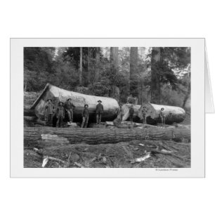 Steam Logging dans les Cascades de Washington Stat