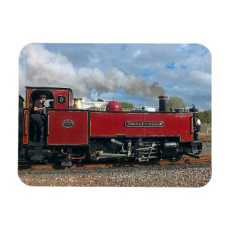 STEAM TRAINS MAGNET