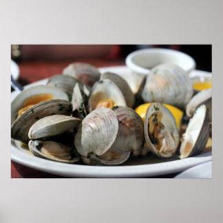 Steamed Clams Photo Poster