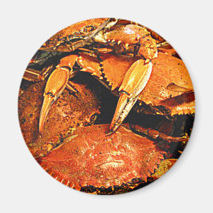 Steamed Maryland Hard Crabs Magnet