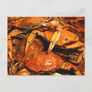 Steamed Maryland Hard Crabs Postkarte