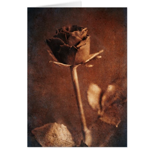 Steampunk Rose (Vorne)