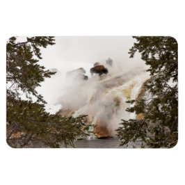Steamy Bison im Yellowstone Nationalpark Magnet