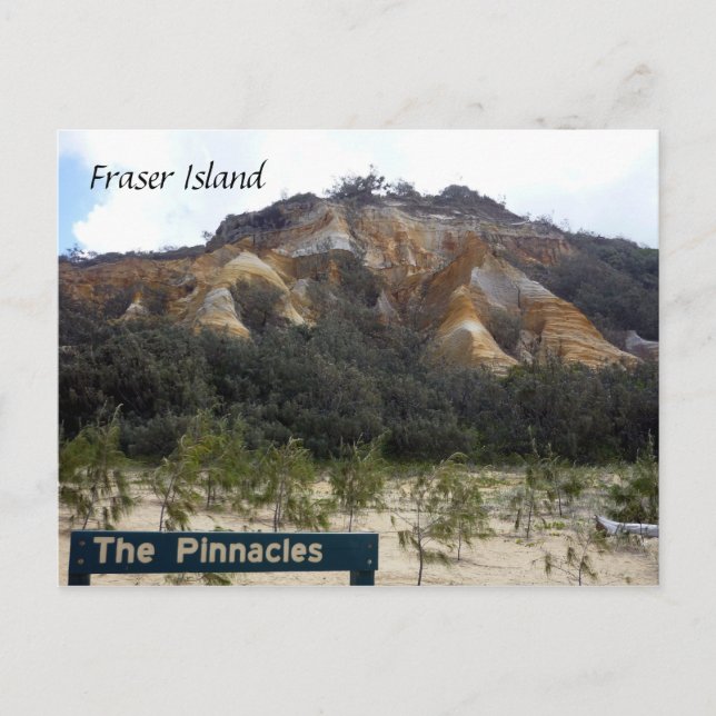 Stechdünen Postkarte (Vorderseite)