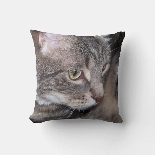 Stechpalme, die durchdachtes Kissen ist (Vorderseite)