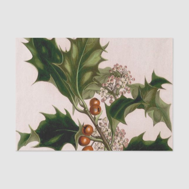 Stechpalmenbeeren Seidenpapier (Vorderseite)