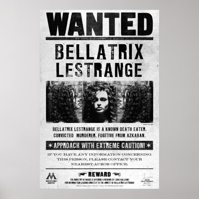 Steckbrief Bellatrix Lestrange Poster (Vorne)