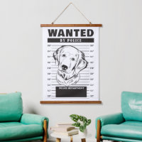 Steckbrief Golden Retriever