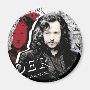 Steckbrief Sirius Black Magnet