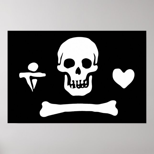 Stede Bonnet Poster (Vorne)