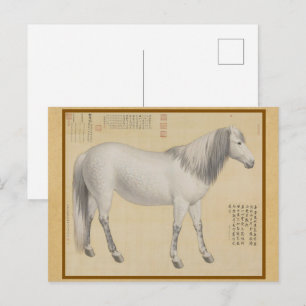 Steed - "As-You-Wish" Piebald Chinese Fine Art Postkarte