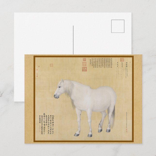 Steed - Ein Pferd namens Benxiaocong Chinesische K Postkarte (Vorne/Hinten)