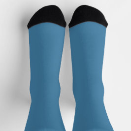 Steel Blue Solid Blank Color Socken