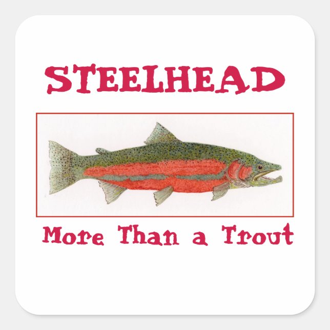 Steelhead-Aufkleber Quadratischer Aufkleber (Vorderseite)