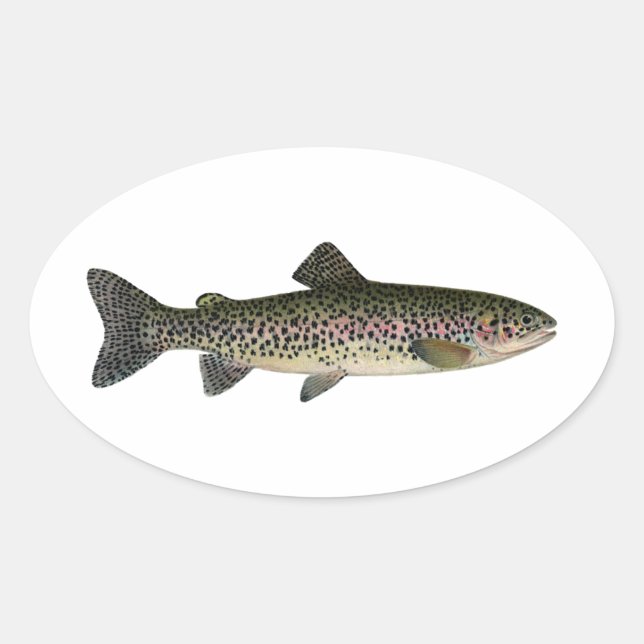 Steelhead (Große Seen) Ovaler Aufkleber (Vorderseite)