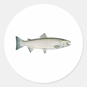 Steelhead-Regenbogenforelle Runder Aufkleber