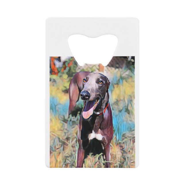 Steely Geldbeutel Flaschenöffner (Vorderseite)