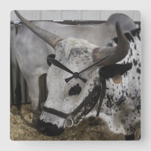 Steer Clock