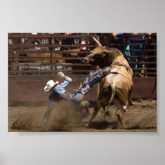 Steer Rider fällt Poster