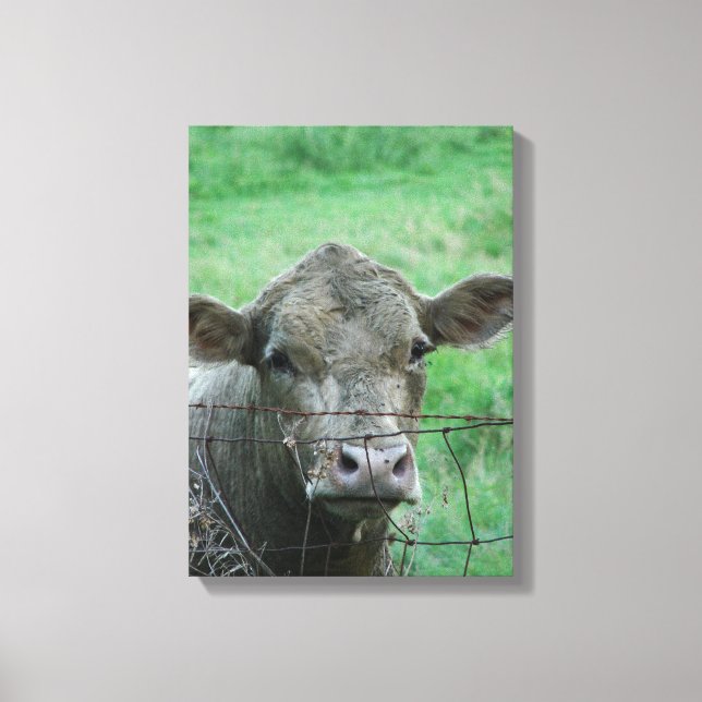 Steer sagt Hallo Leinwanddruck (Vorderseite)