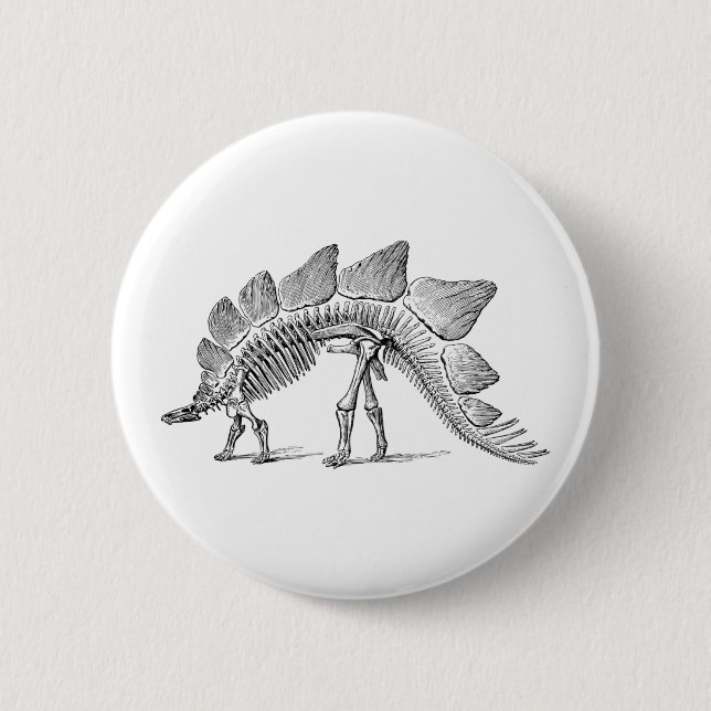 Stegosaurus Dinosaur Skeleton Fossil Button (Vorderseite)