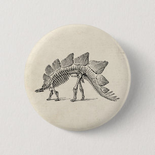 Stegosaurus Dinosaur Skeleton Fossil Button