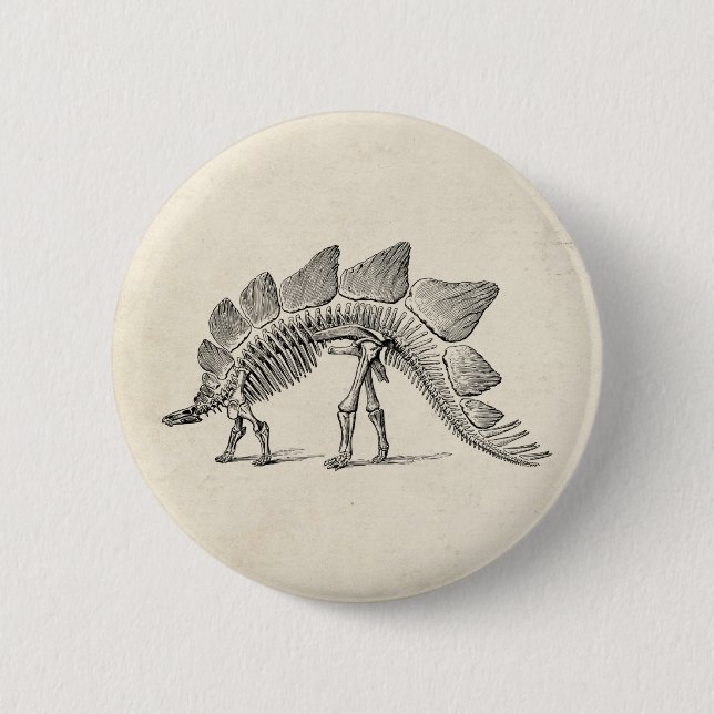Stegosaurus Dinosaur Skeleton Fossil Button (Vorderseite)