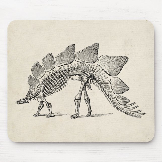 Stegosaurus Dinosaur Skeleton Fossil Mousepad (Vorne)