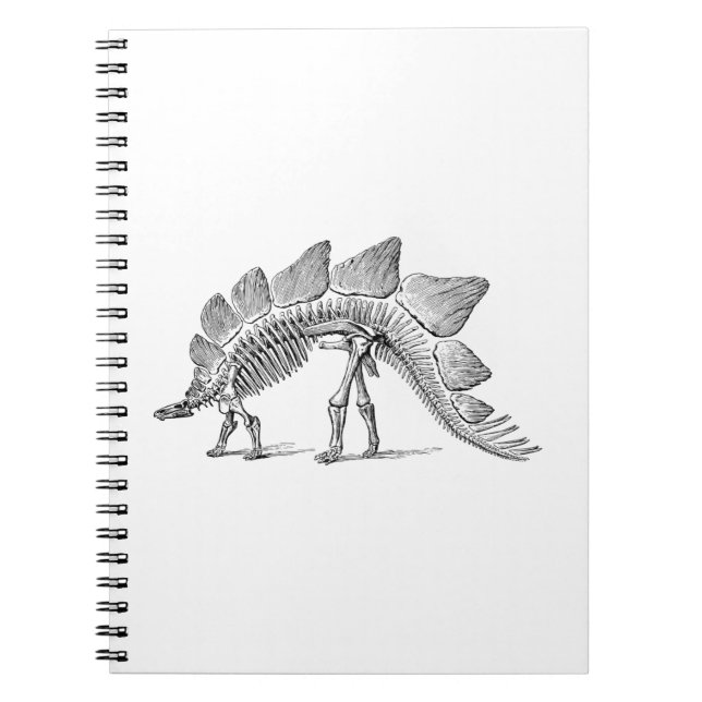 Stegosaurus Dinosaur Skeleton Fossil Notizblock (Vorderseite)