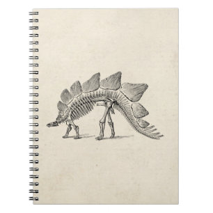 Stegosaurus Dinosaur Skeleton Fossil Notizblock