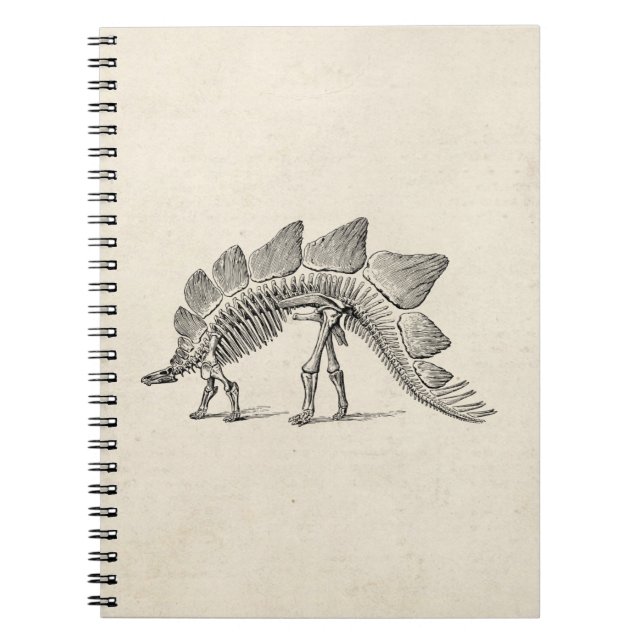 Stegosaurus Dinosaur Skeleton Fossil Notizblock (Vorderseite)