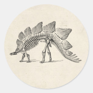 Stegosaurus Dinosaur Skeleton Fossil Runder Aufkleber