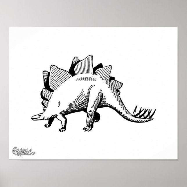 Stegosaurus Poster (Vorne)