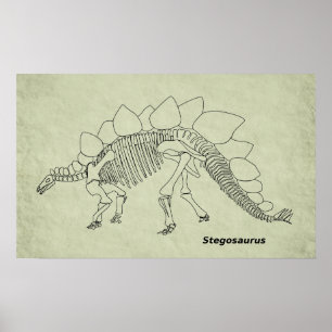 Stegosaurus Skeleton Poster